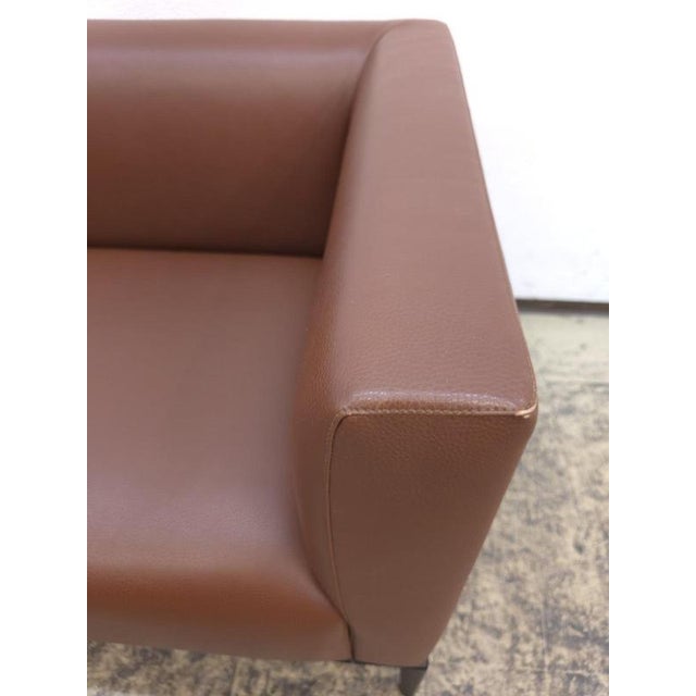 Animal Skin Jaan 2-Seater Sofa in Cognac Leather by Walter Knoll For Sale - Image 7 of 18