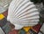 Vintage Howard J. Calderone Studio 45 Shell Wall Planter For Sale - Image 10 of 10