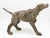 1910s Terracotta Hunting Hound Pointer Dog Statue, Early 20th C. For Sale - Image 5 of 7