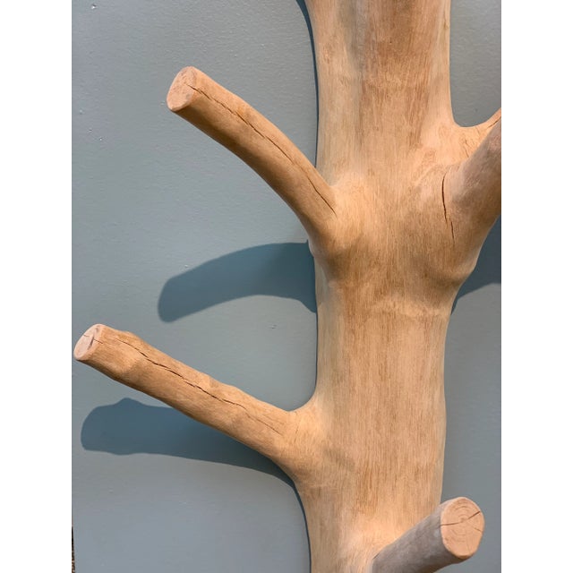 Early 21st Century Early 21st Century Mangosteen Half Tree Wall Coat Rack For Sale - Image 5 of 5