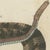 Bertuch, Rattlesnake with Its Rattle, 1805, Print For Sale - Image 9 of 12