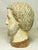 Antique Spanish Colonial Hand Carved Head of a Santo For Sale - Image 15 of 15