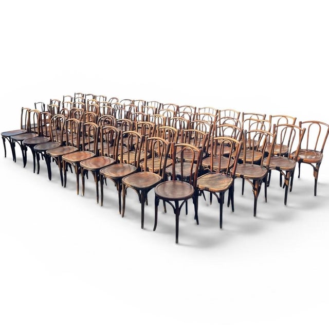 French Wood Bistro Chairs in the style of Thonet, France, 1940, Set of 60 For Sale - Image 13 of 13