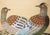 C. 1970s Showa Era Japanese Painted Silk Byobu Screen "Pheasants and Sakura" For Sale - Image 13 of 18