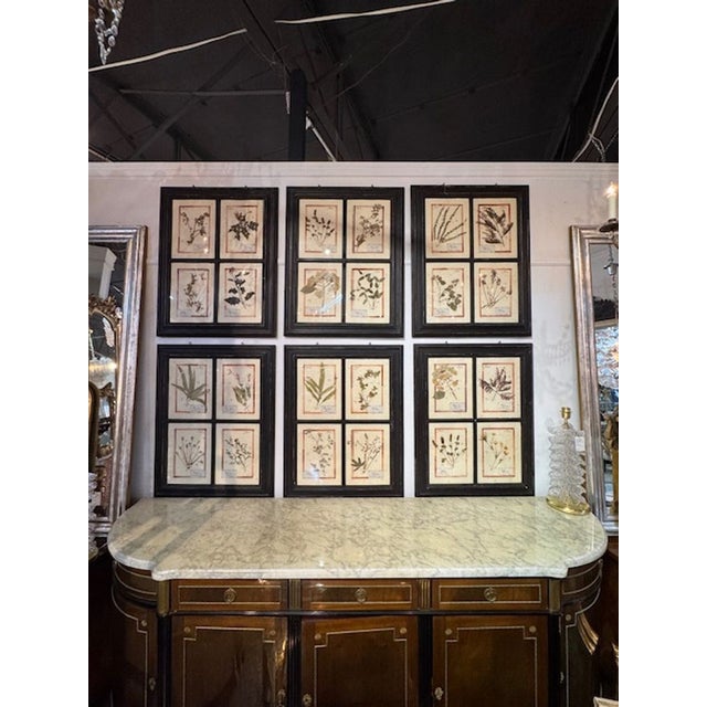 Traditional Set of 8 French Vintage Botanical Prints For Sale - Image 3 of 10