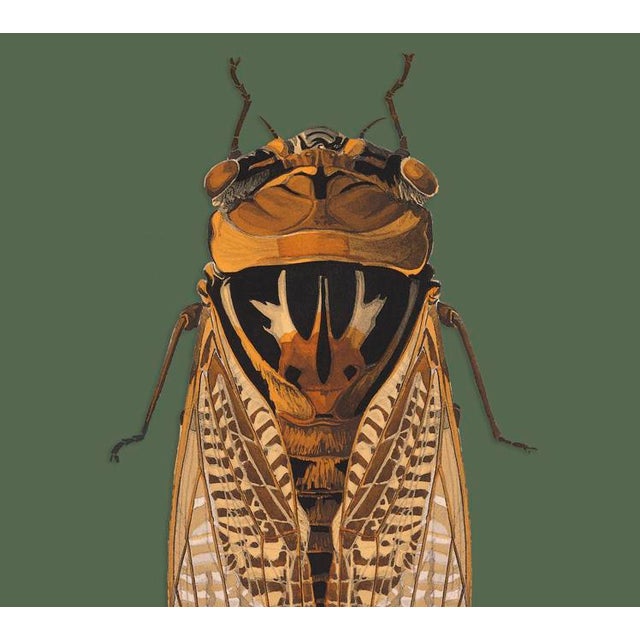 The series was produced by CFA editions from original pochior prints by E.A. Seguy. The series of insects that Seguy...