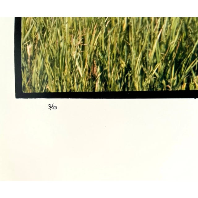 Realism Maxwell Mackenzie Old Barn Summer Landscape, Large Panoramic Vintage Color Photograph Signed Photo 1993 For Sale - Image 3 of 5