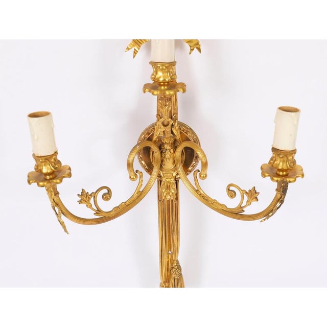 Antique 19th Century Ormolu 3-Branch Wall Lights Sconces, Set of 2 For Sale - Image 6 of 10