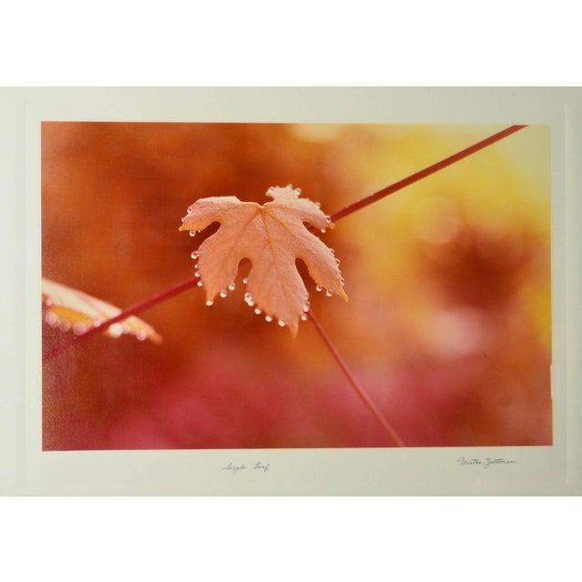 Mid-Century Modern Greg Copeland Print Autumn Leaf | Large Glass Frame For Sale - Image 3 of 6