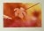 Mid-Century Modern Greg Copeland ‘Red Leaf’ Print For Sale - Image 3 of 6