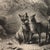 Print size: 11" x 14" Framed size: 12-1/4" x 15-1/4" This vintage fox engraving is absolutely stunning, reproduced from an...