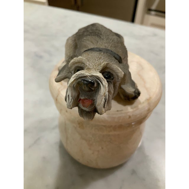 Mid 20th Century Mid‑Century Bobble Head Yorkshire Terrier Dog Figurine - Nostalgic, Retro & Highly Collectible! Great for Collectors, Kid’s Room, or Dash Board! For Sale - Image 5 of 10