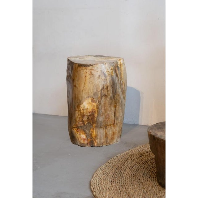 Petrified Wood Side Table/Stool: a stunning blend of nature's artistry and functional design. Crafted from a single piece...