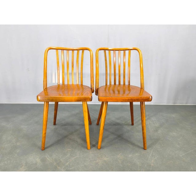 Dining Chairs by Antonin Suman for Ton, 1960s, Set of 4 For Sale - Image 13 of 18