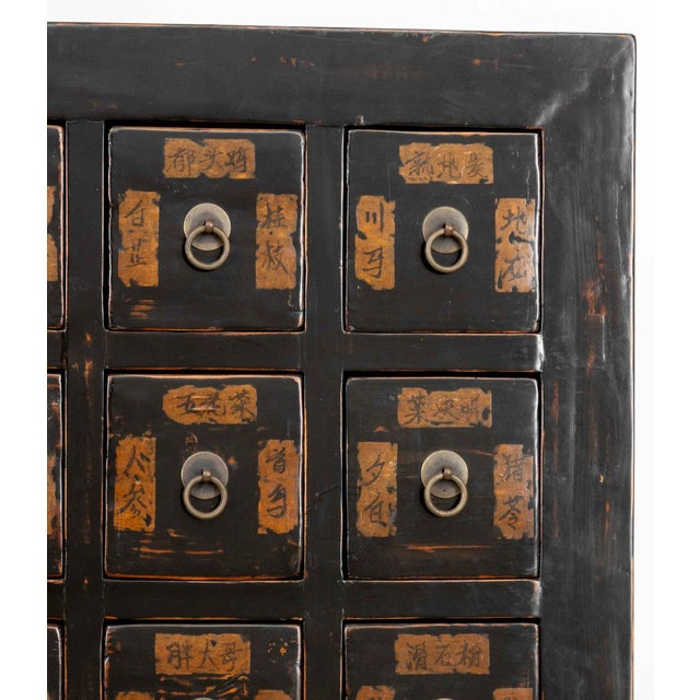 Chinese Apothecary Cabinet, 19th Century For Sale - Image 4 of 11