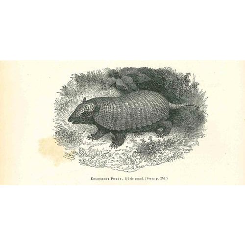 Encoubert Poyou is an original lithograph on ivory-colored paper, realized by Paul Gervais (1816-1879). The artwork is...