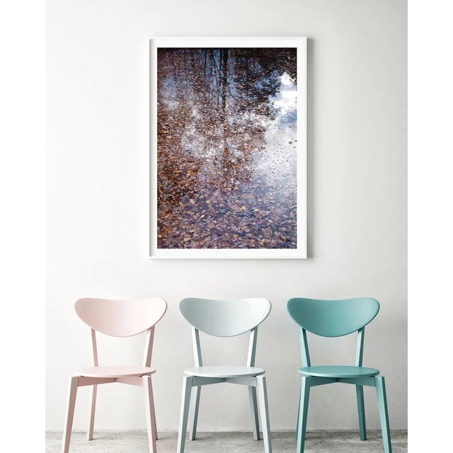 Paper Contemporary Forest Landscape Photography Print, 'Autumn Detritus' 30 X 45" Fine Art Photograph For Sale - Image 7 of 8
