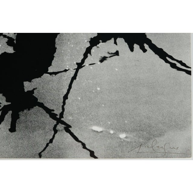 Lucien Clergue, Le Marais d'Arles, Etching For Sale - Image 5 of 6