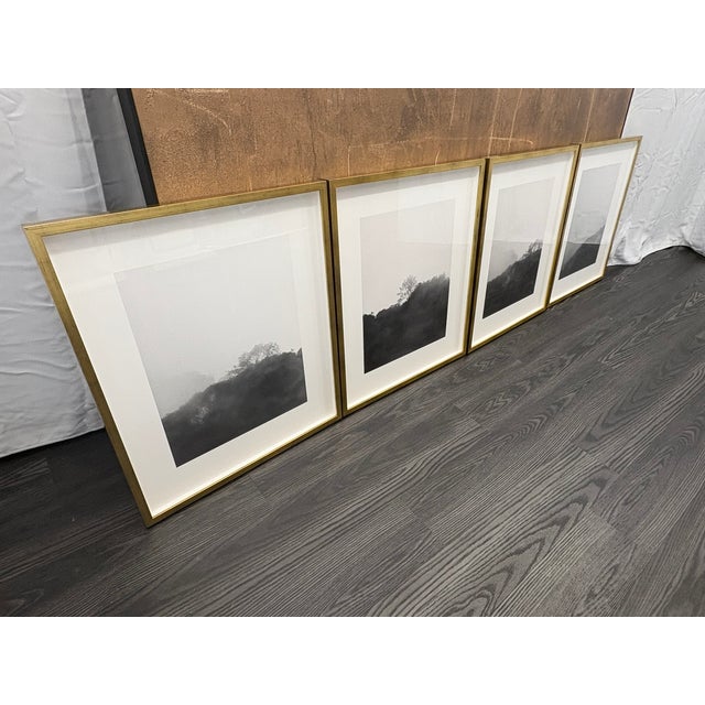 Rh Kate Schermerhorn “Hidden Detail” Art Collection – Complete Set of 4 For Sale In Columbus - Image 6 of 18