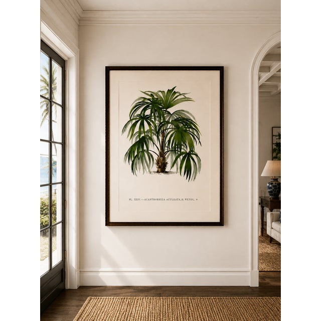 Vintage Palm Tree Illustration, Botanical Art Print Reproduction, 40" X 60" For Sale - Image 4 of 9