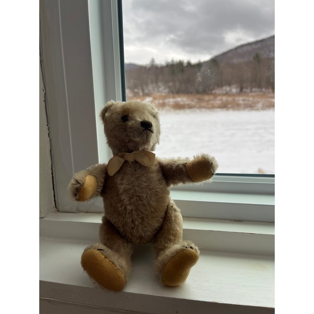 Small Steiff Bear Antique For Sale - Image 4 of 11