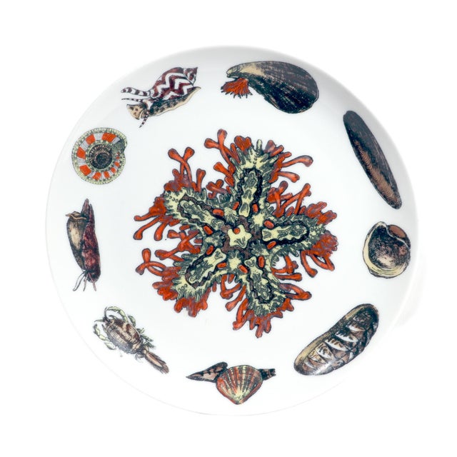 Piero Fornasetti Conchiglie Seashell Porcelain Plate No. 2, Sea Star and Coral Milan, Circa 1960–1970 For Sale In Philadelphia - Image 6 of 6
