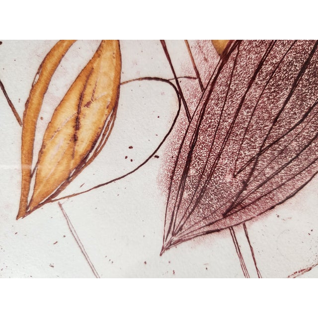 Paint 1980s Artist Anne Walker Signed Colored Etching and Aquatint Framed Botanical Wall Art Painting For Sale - Image 7 of 16