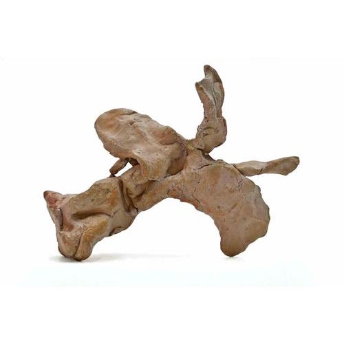 Painted terracotta sculture realized by sirio pellegrini in 1960s. Good condition. Sirio pellegrini, born in rome on march...