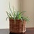 Rustic Late-20th Century Natural Wicker Planter Basket For Sale - Image 3 of 15
