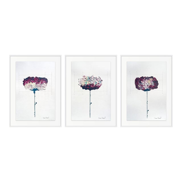 Set of 3 - Shadow Box Framed: Modernist Original Botanic Oil Paintings by Diane Grant For Sale