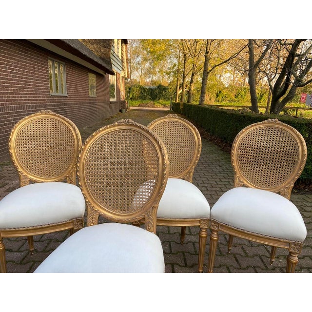 1970s French Artisan Louis XVI Gold Beech Cane Dining Chairs-Set of 4 Pc For Sale - Image 6 of 18