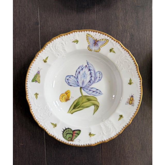 Set of 10 Anna Weatherley Botanical Treasure Garden Rim Soup Bowl 8.75" For Sale - Image 11 of 17