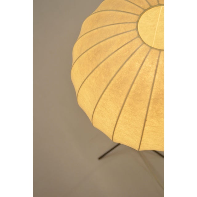 Vintage Cocoon Tripod Floor Lamp with Brass Accent, 1960s For Sale - Image 4 of 11