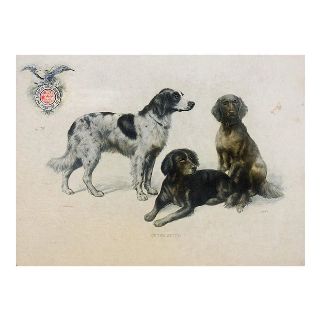 Antique Dog Advertising Card For Sale