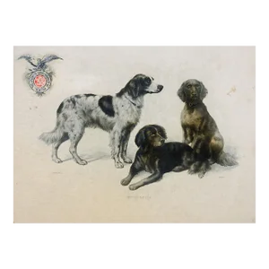 Antique Dog Advertising Card