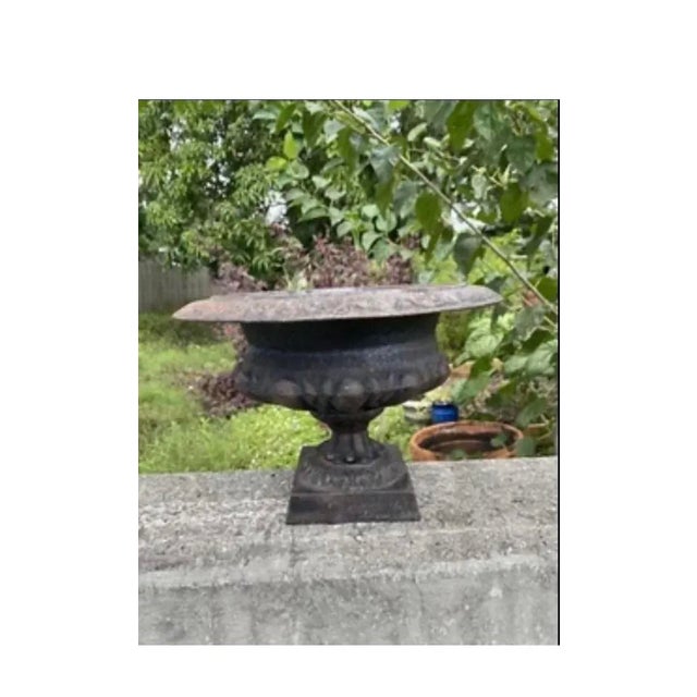 Cast iron garden urns have been a popular decorative element in landscape design for centuries, originating from classical...