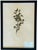 1965 French Herbarium Botanical Specimens – Set of 9 Custom Framed Pressed Botanicals For Sale - Image 17 of 17