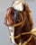 Mid 20th Century French Decorative Horse in Moleskin with Saddle and Harness, 20th Century For Sale - Image 5 of 13