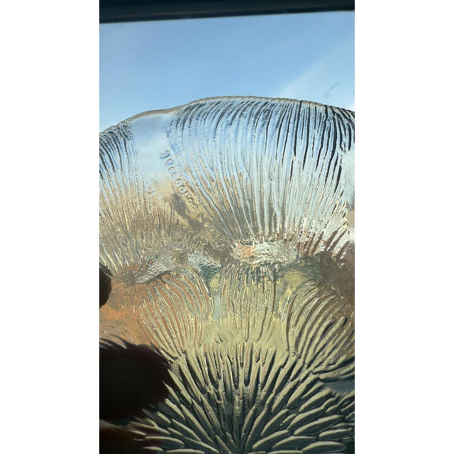 Vintage 1980s Arcoroc Fleur Dessert/Salad Glass Plates, Set of 8 For Sale - Image 11 of 11