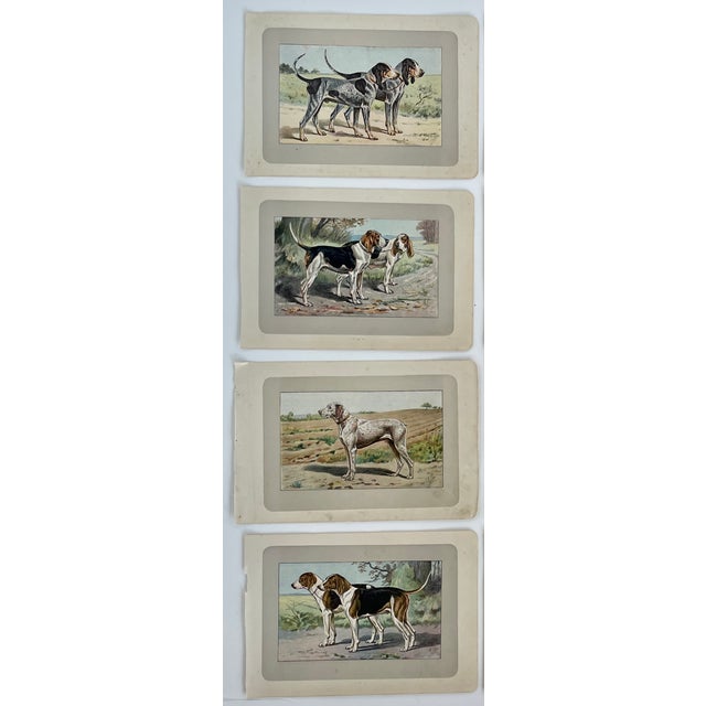 These handsome photogravure printed pages are illustrated by P. Mahler, a German artist. The subject is hunting dogs....