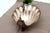 Silver Shell-Shaped Fruit Bowl For Sale - Image 3 of 10