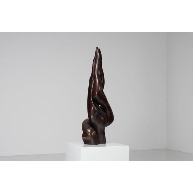 Guy Burais, Organic Abstract Sculpture, 1970s, Wood For Sale - Image 16 of 18