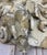 Antique 19th Century French Architectural Fragment For Sale - Image 11 of 13