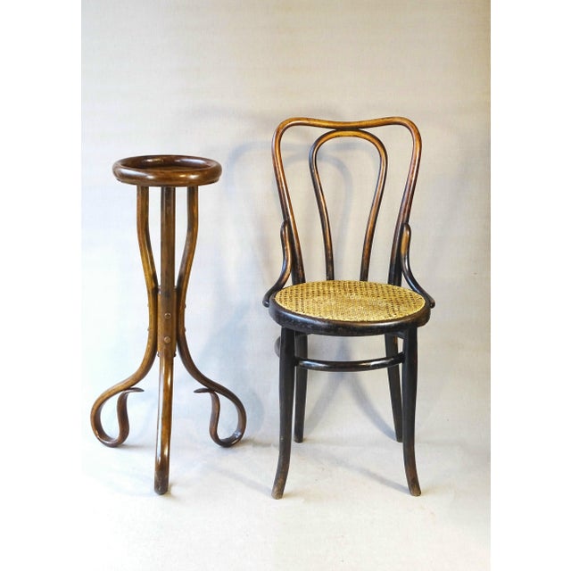 It's easy to understand the success of this item, as it appears in the brand's catalogs in 1915 and 1926—fifty years of...