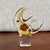 Amber Vintage Murano-Style Glass Fish Sculpture – Amber on Ice Base For Sale - Image 8 of 10