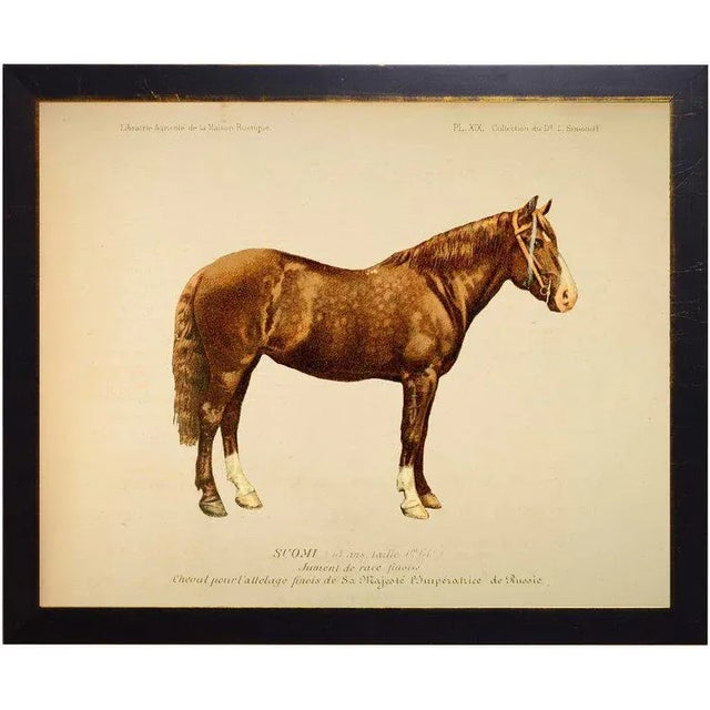 Rustic Country Print of Watson the Horse Bookplate - 18x14 For Sale - Image 3 of 3
