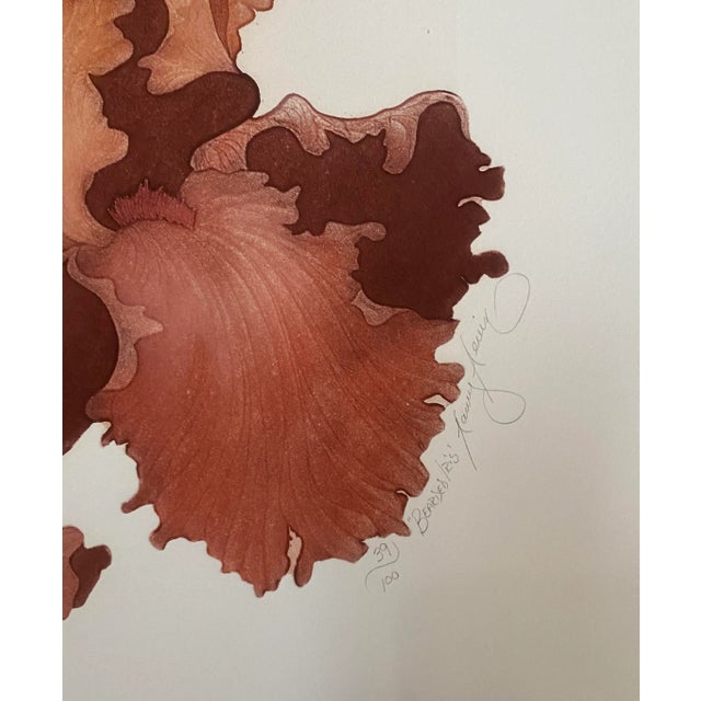 Illegibly signed color etching of two iris blooms. "Bearded Iris," pencil signed and numbered 39 of 100.