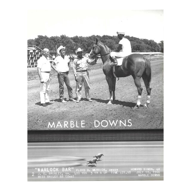 1966 Warlock Bar Winner's Circle Equestrian Photograph Marble Downs For Sale