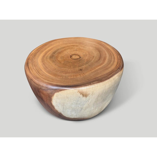 Andrianna Shamaris Drum Shape Suar Wood Coffee Table For Sale - Image 9 of 18