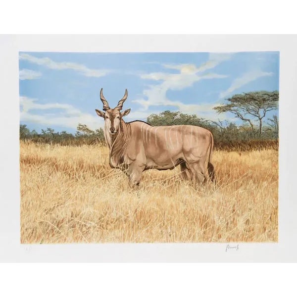 Joseph Vance, "Antelope," Lithograph For Sale